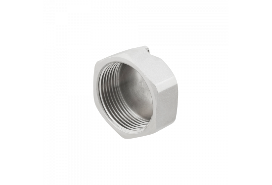 RAFTEC end plug ZV01-06 RAFTEC end plug ZV01-06