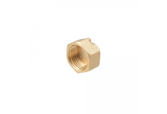 Plug RAFTEC GZV01 - GZV03